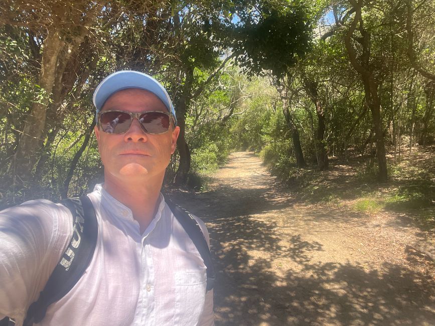 Noosa Nationalpark: Tangelwood Walk  