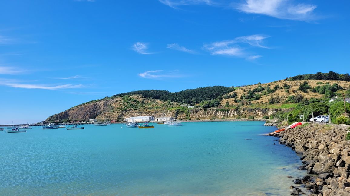 29.Januar-27.Februar 2025 Neuseeland
5.Februar