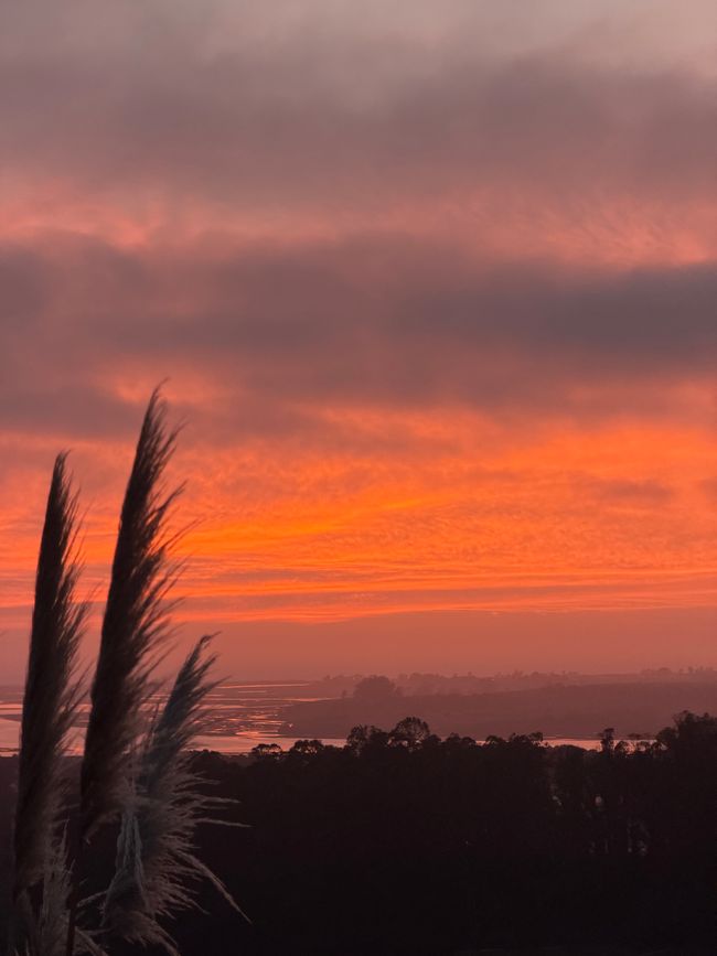 Abendstimmung