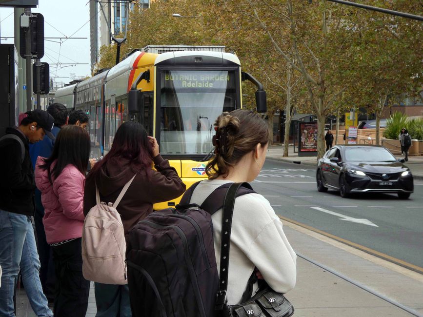Tram (di Bombardier)