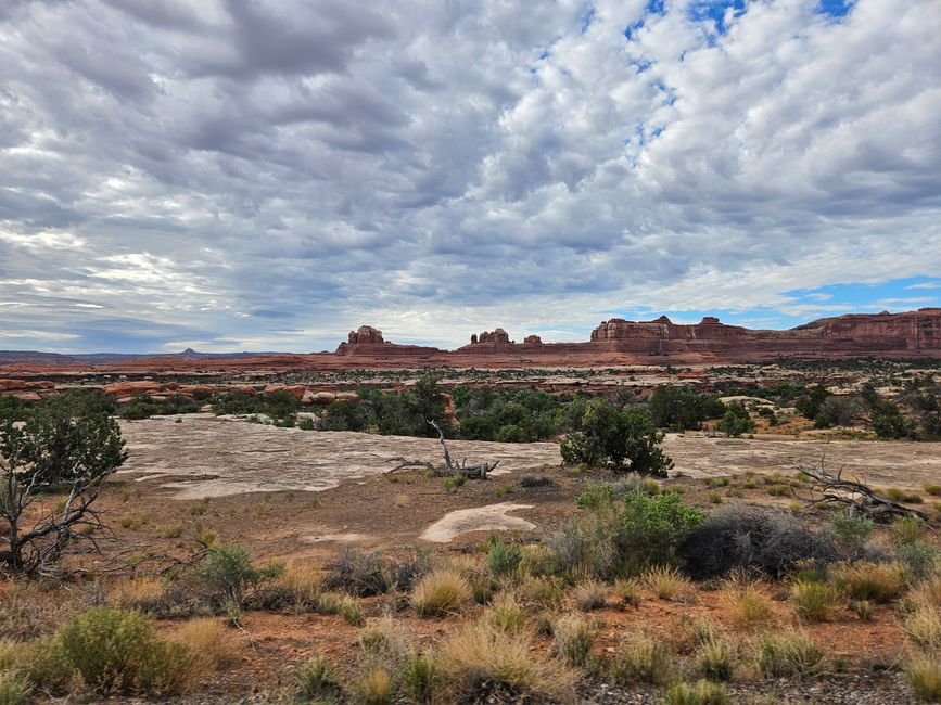 Day 10: Canyonlands National Park - The Needle