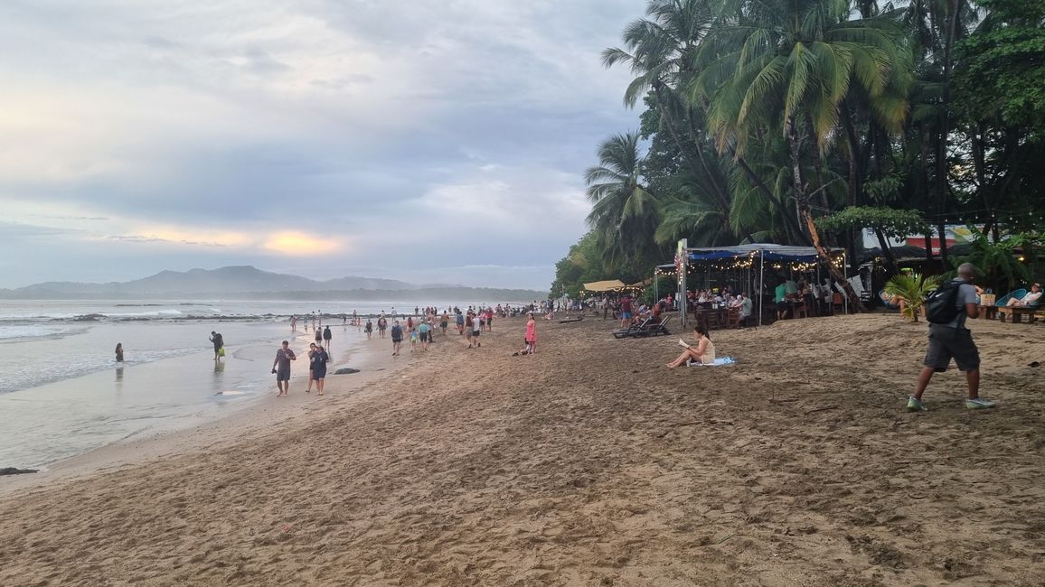 Monkeybar et Playa Tamarindo