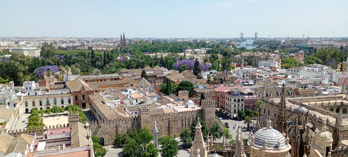 Vue depuis la Giralda