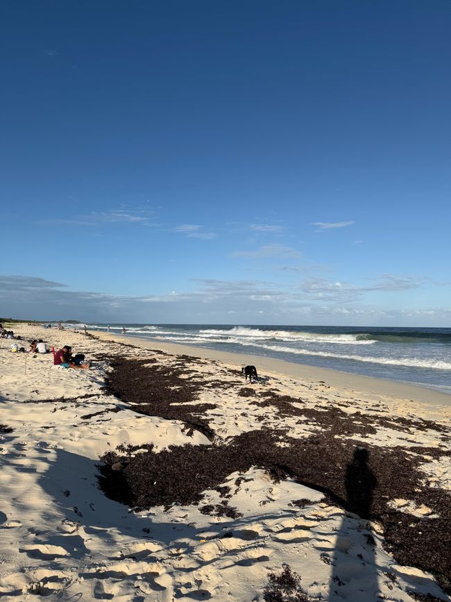 Weiter ostwärts zum Beach, baden