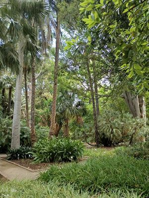 Valencia Stadt und Botanischer Garten