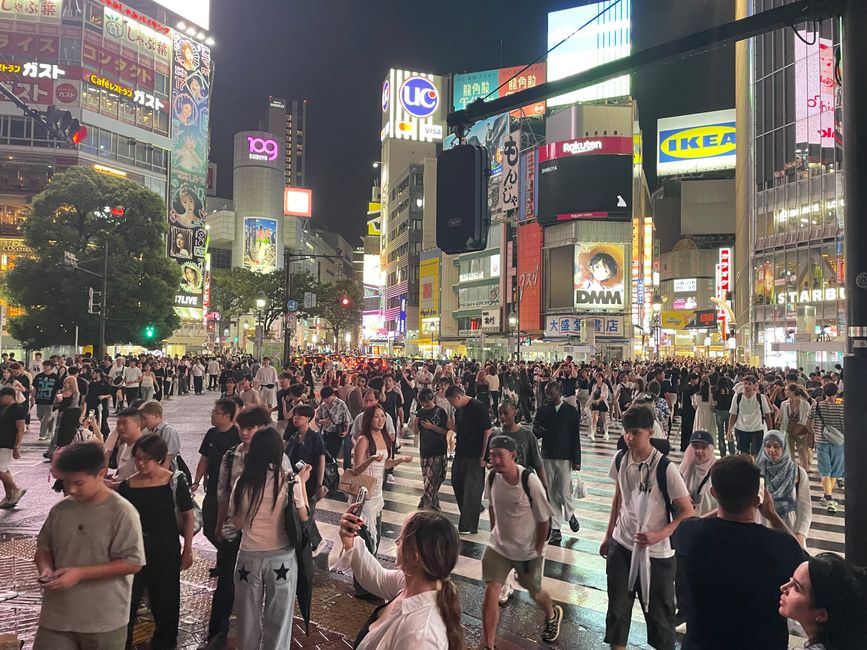 Shibuya Crossing