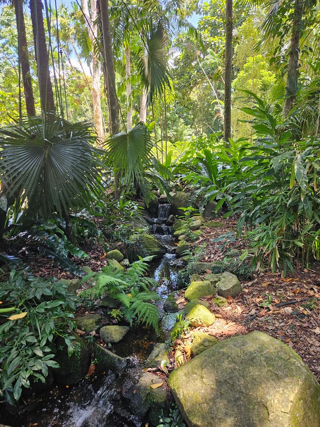 66. Day Cairns, Australia 29.01.2026