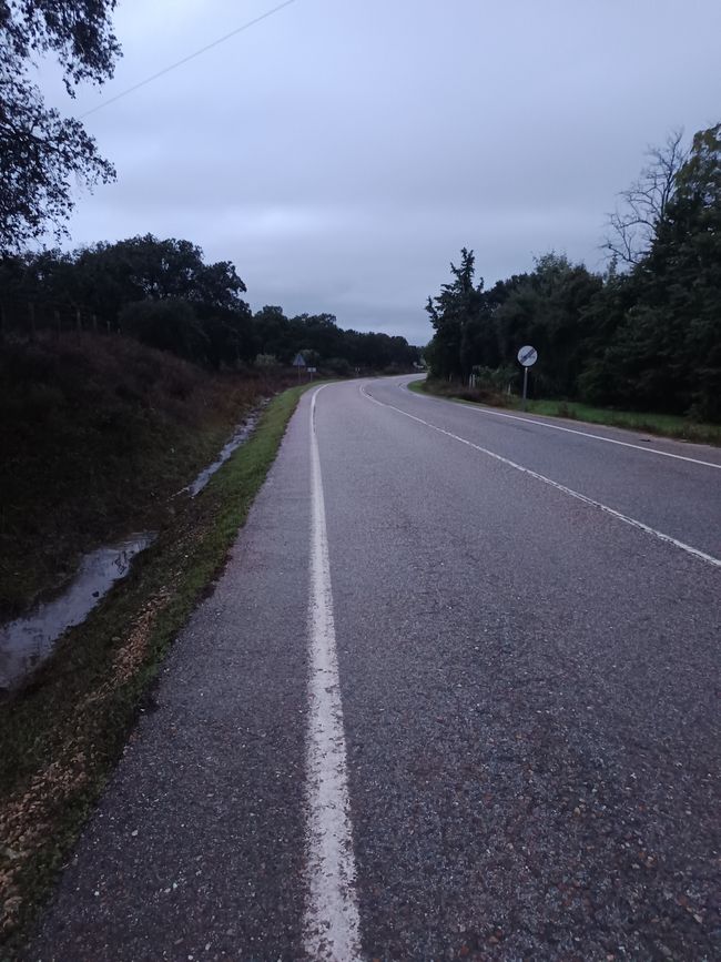 El camino junto a la carretera va bien 20 kilómetros