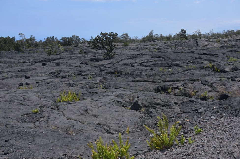 Lave sur la route Chain of Craters