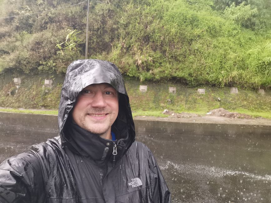 Llegada a las Highlands de Cameron y caminata por el sendero de la selva y a través de las plantaciones de té