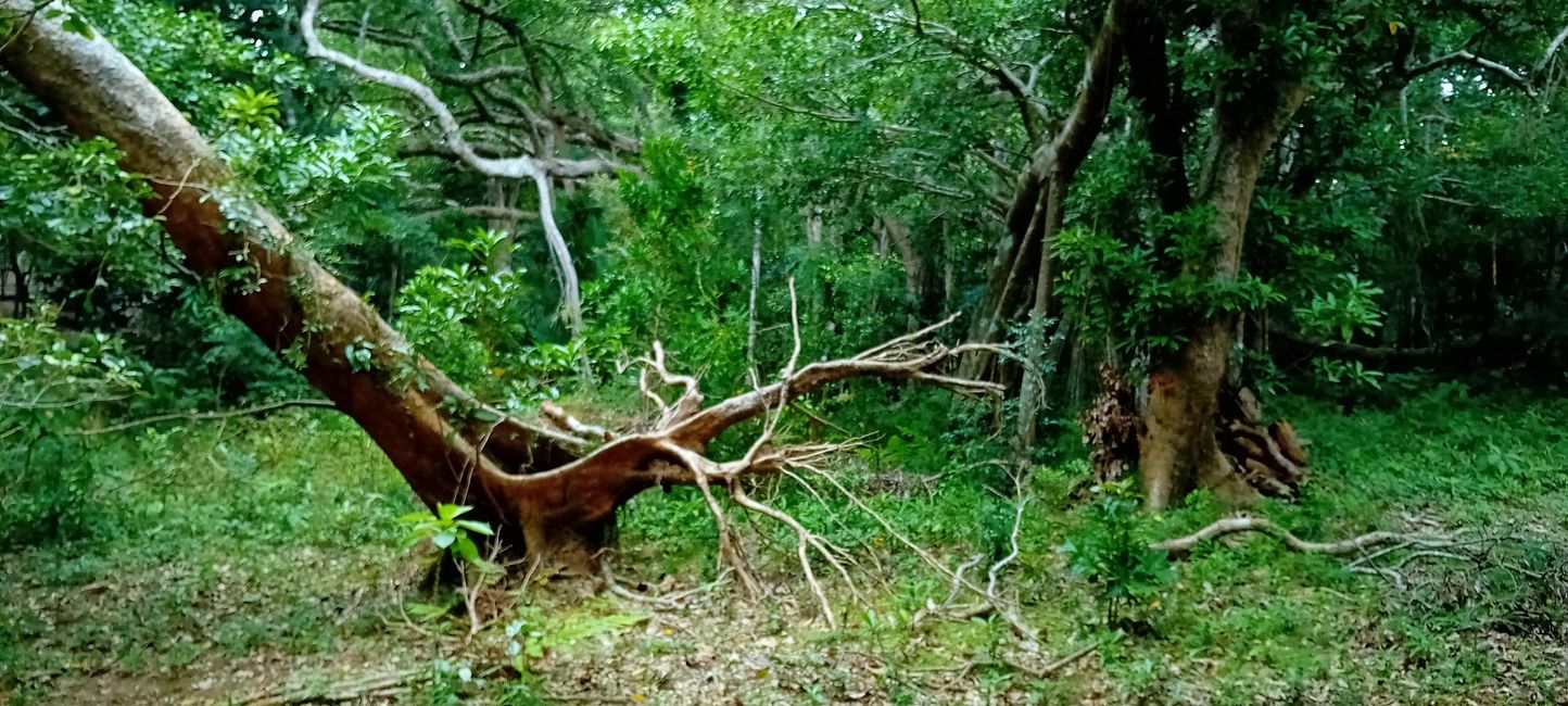 Parque Nacional Kenting