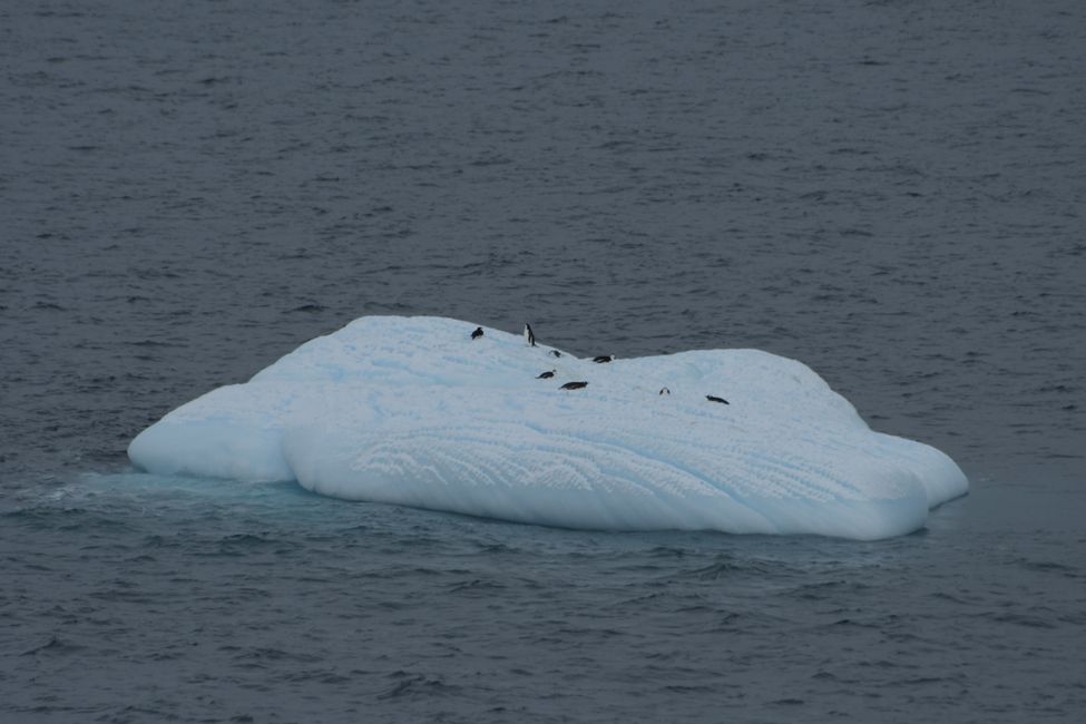 Gerlache Strait