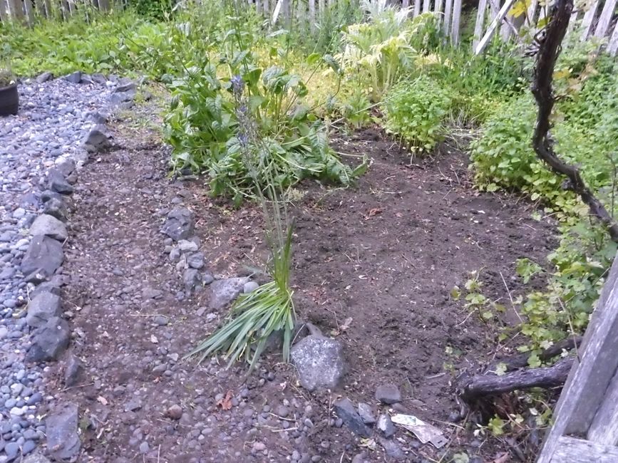 Garten nachher