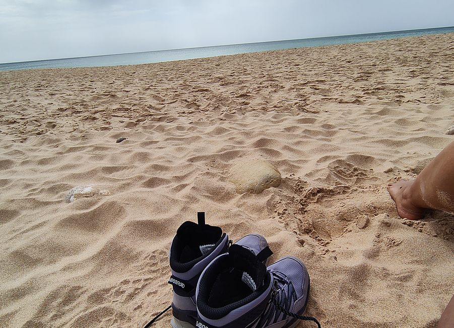 Salema -> Sagres