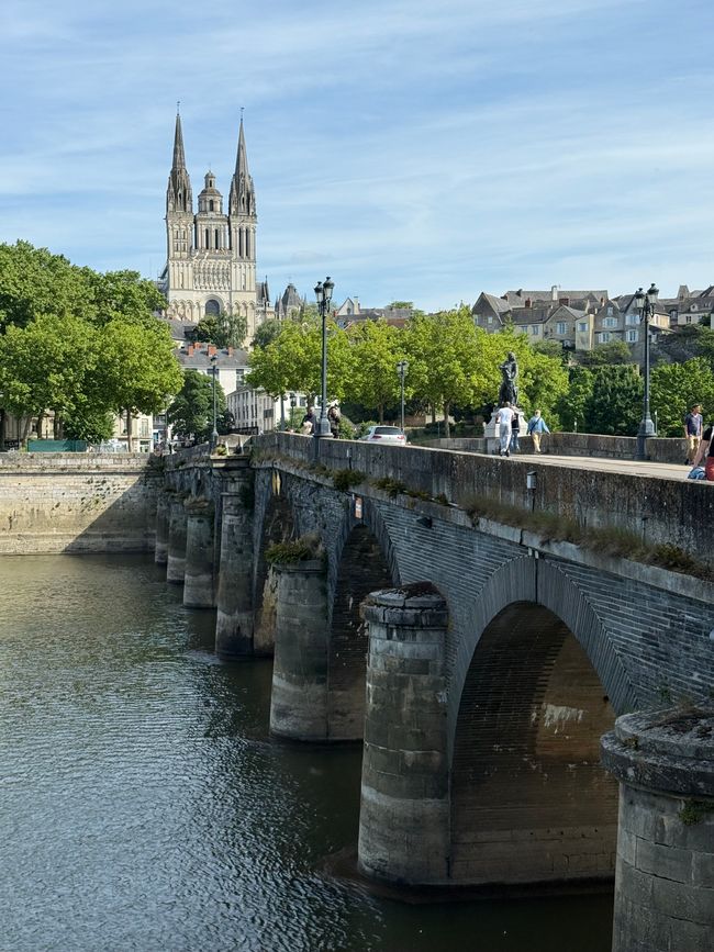Angers Moderna