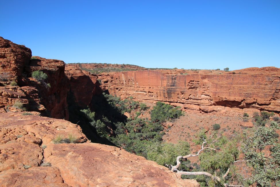 Day 19: On the road in the Outback - Kings Canyon