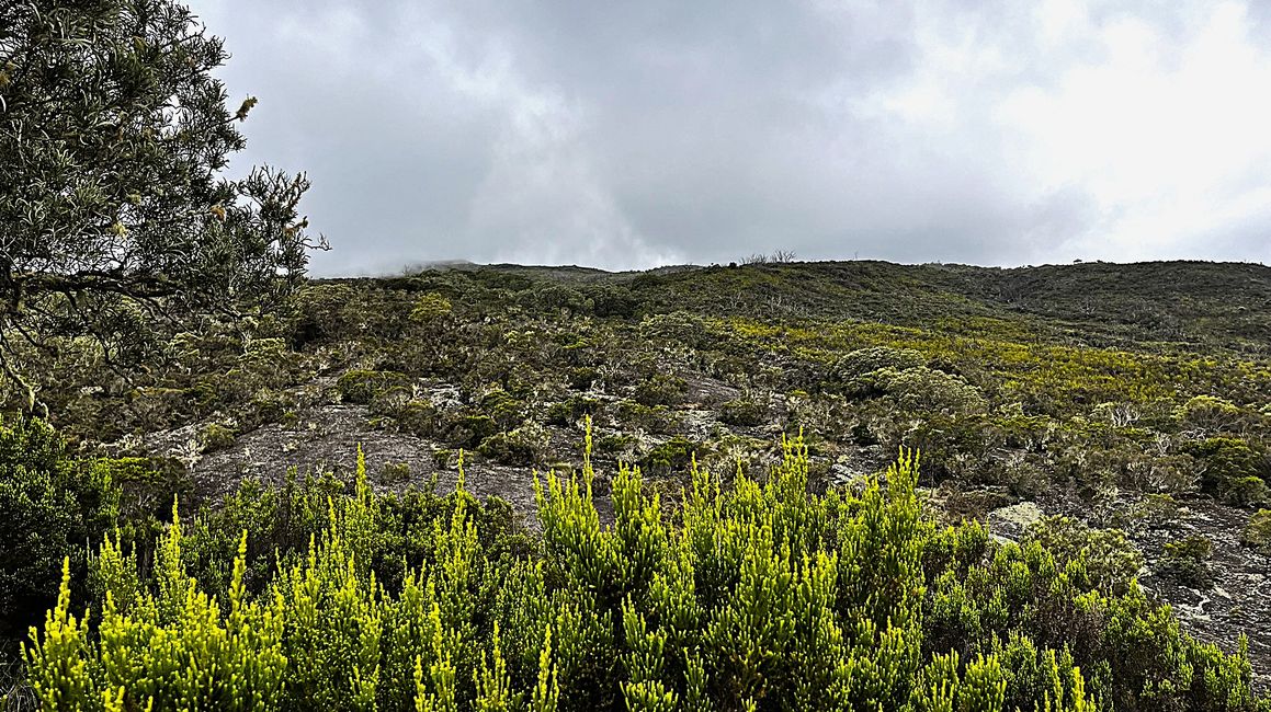 Lava-Landschaft bei Saint-Paul