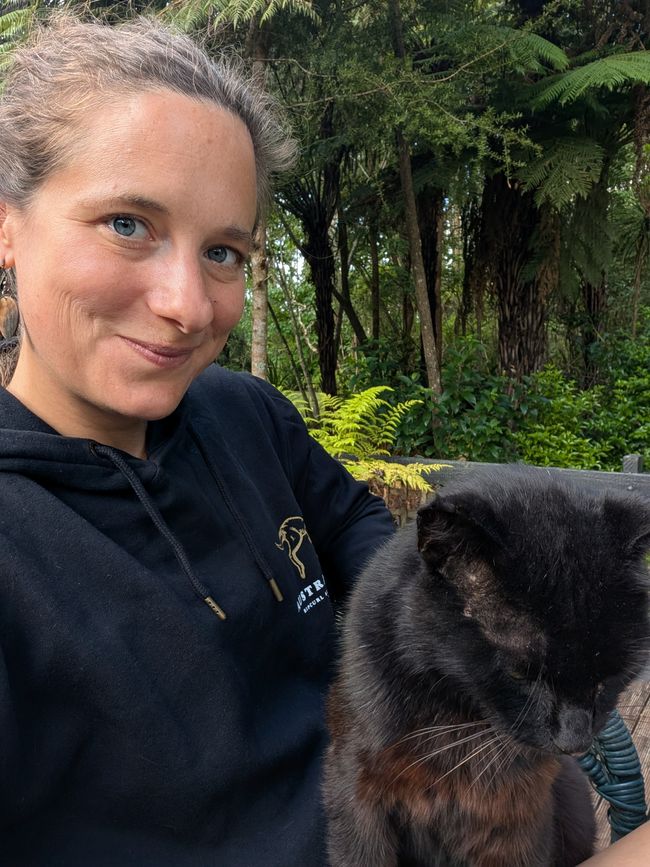 A rainbow doesn't choose to be a rainbow...