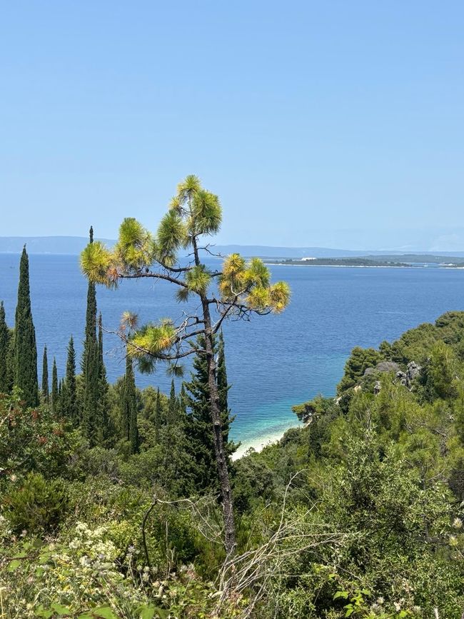 Isla Korcula y "ciudad antigua"