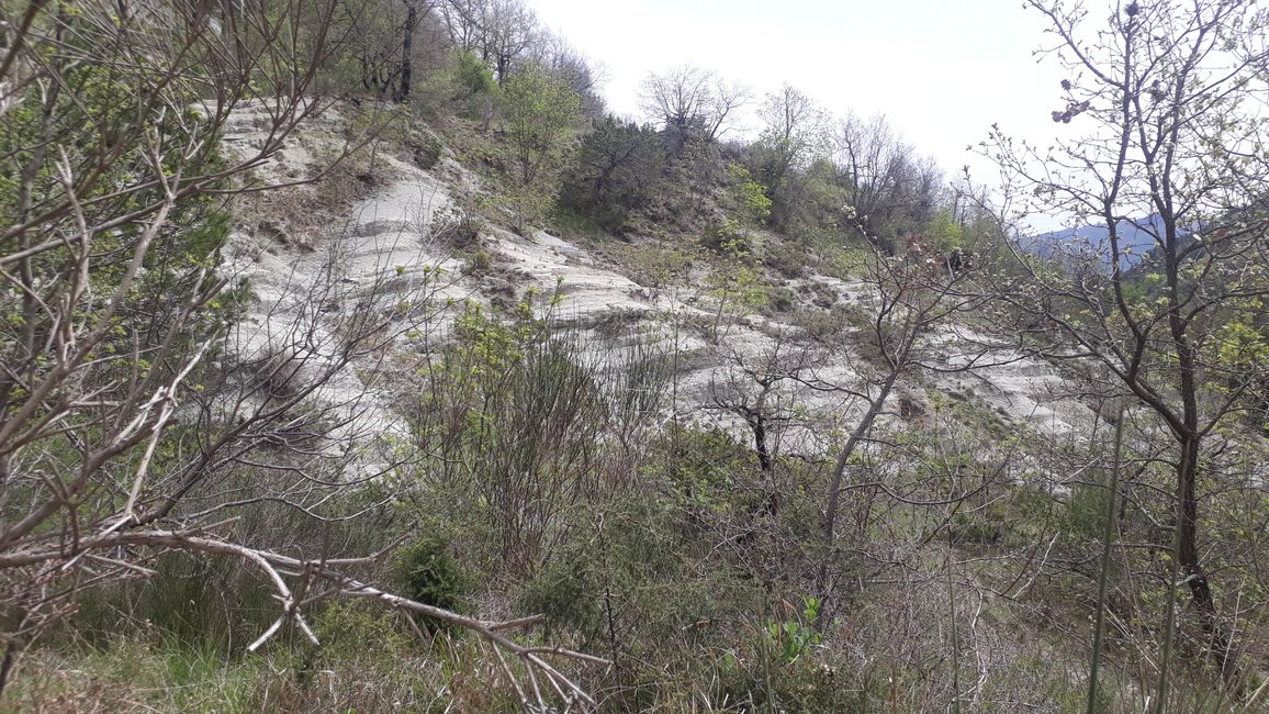 Versionen haben hier dir geschichteten Felsen freigelegt.