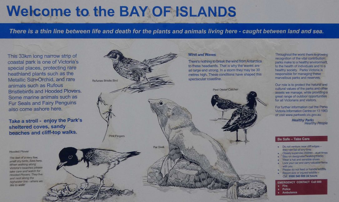 Great Ocean Road, Port Fairy - Apollo Bay