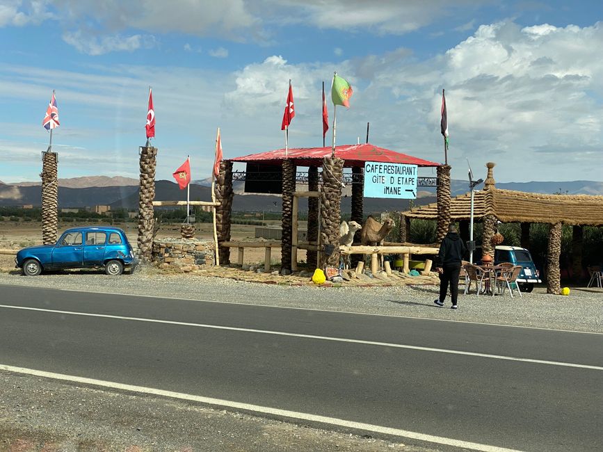 Two camels framed by two R4 at a roadside cafe