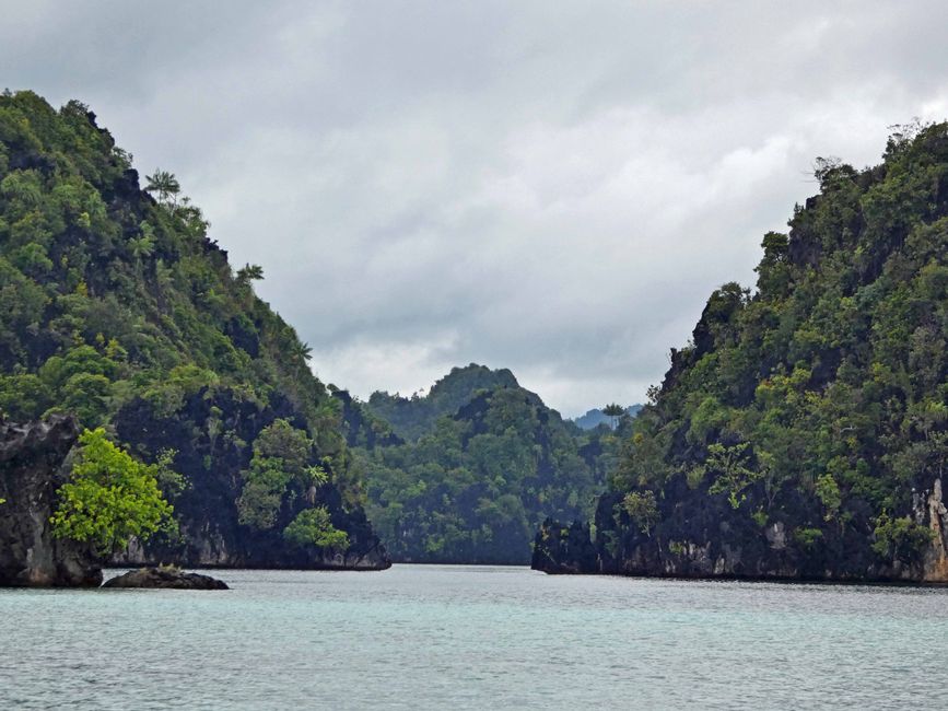 Misool, Nuova Guinea occidentale, Indonesia, escursione in Zodiac