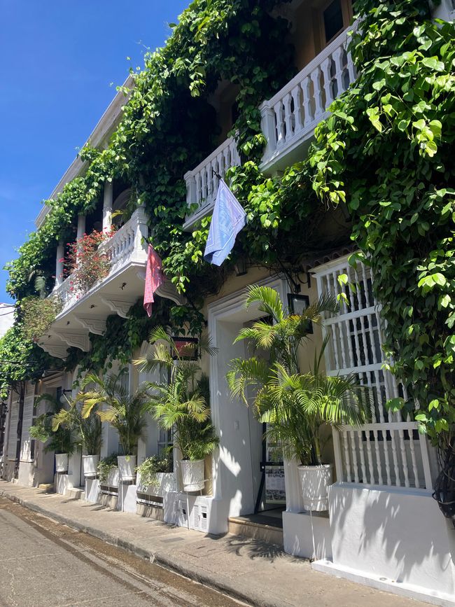 Cartagena - la perla del Caribe
