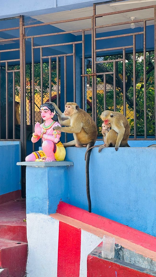Deer Park and Fort Frederick - Trincomalee