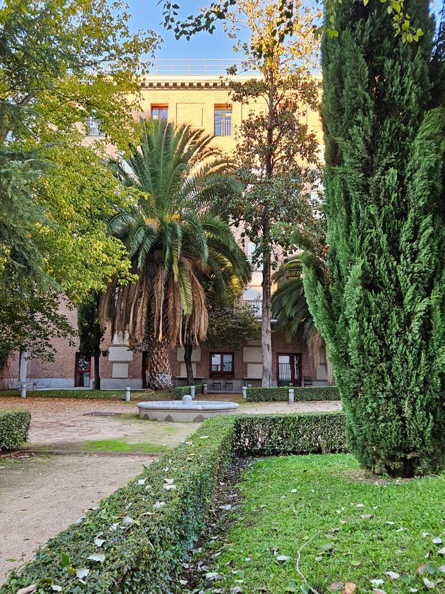 Bonjour Madrid