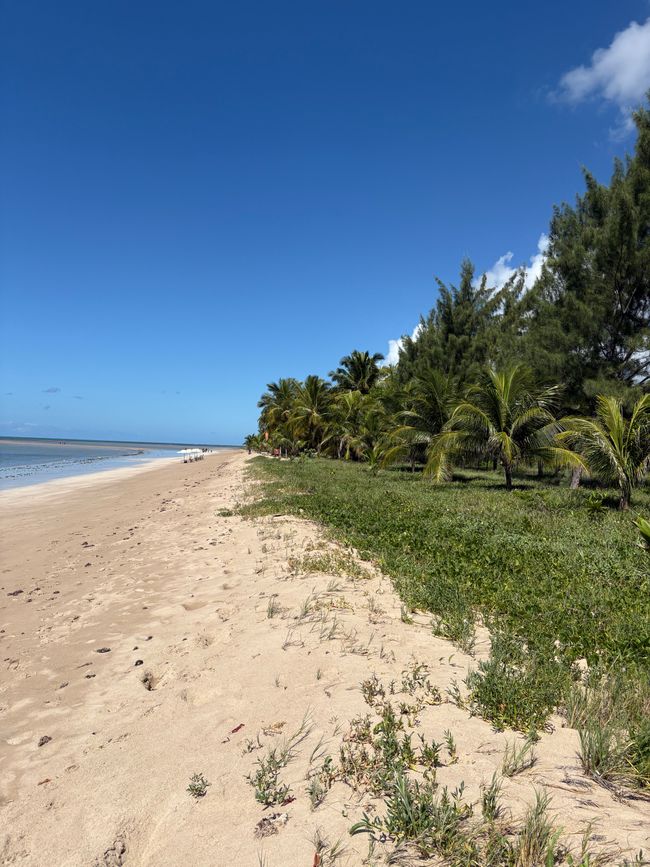 Jahrestag ohne komische brasilianische Problemchen