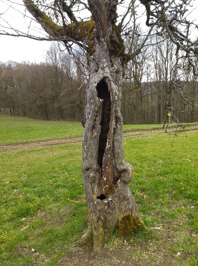 Ostern, oder wie uns Auferstehung persönlich geschenkt wurde