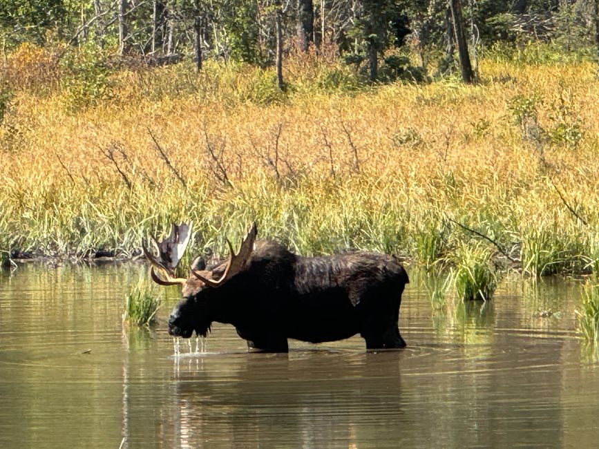 Von Salt Lake City zum Grand Teton NP