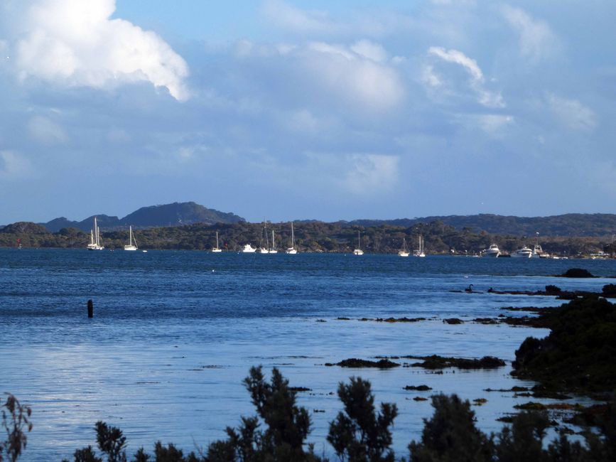 De la vallée de Barossa à l'île Kangourou