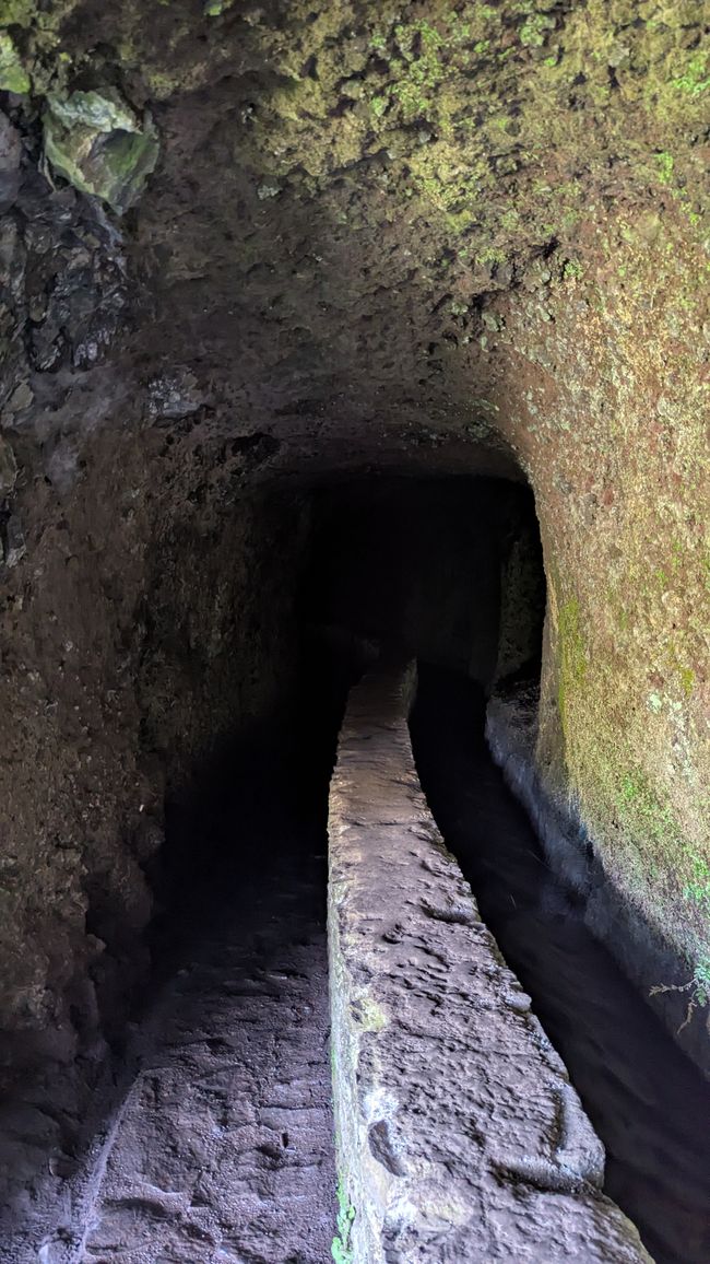 Wieder rein in den Tunnel...