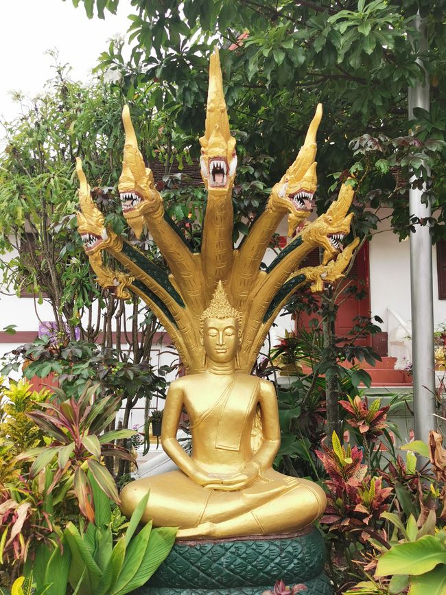 Un altro giorno di tour dei templi a Luang Prabang