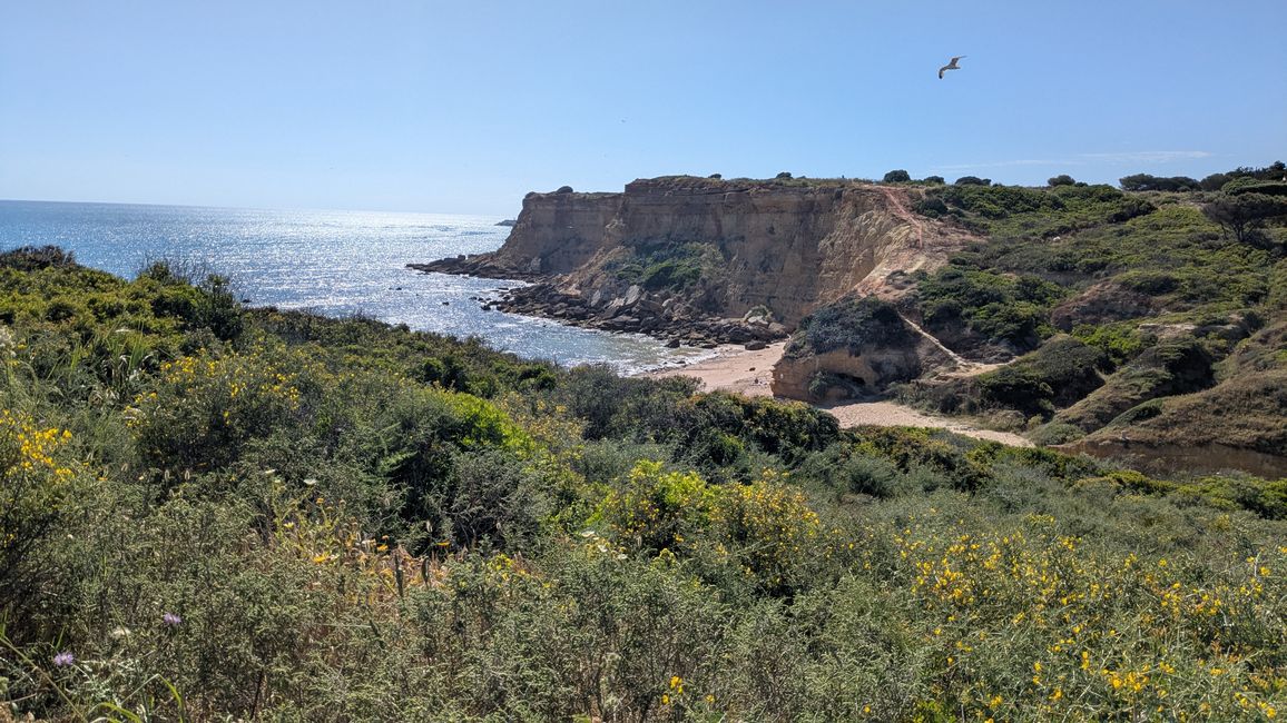 Conil de la Frontera