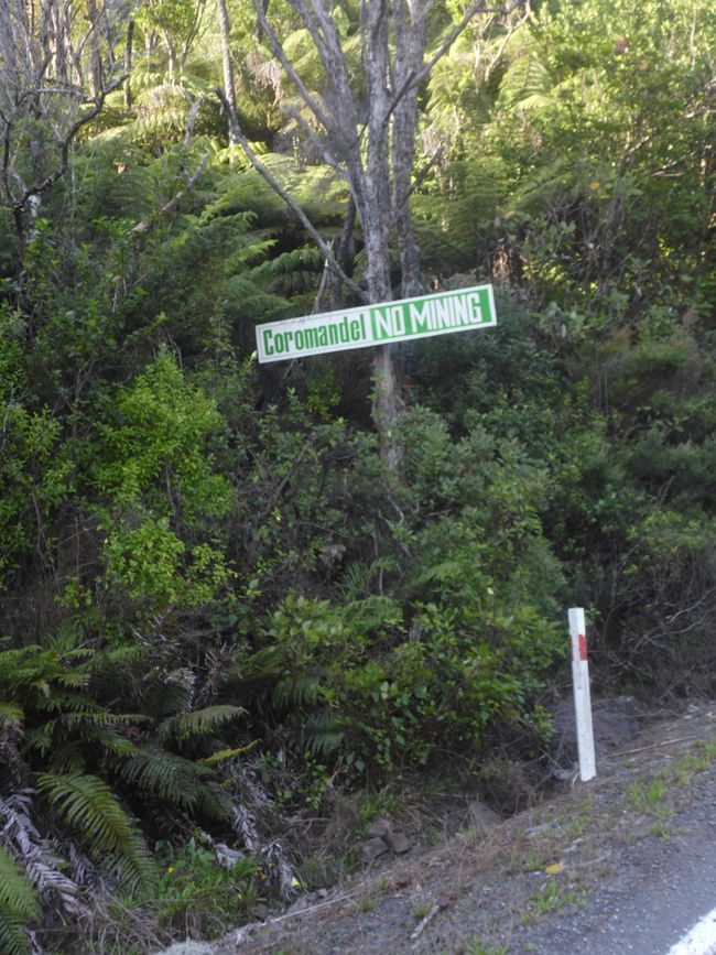 2025-04-11 NZ, Coromandel