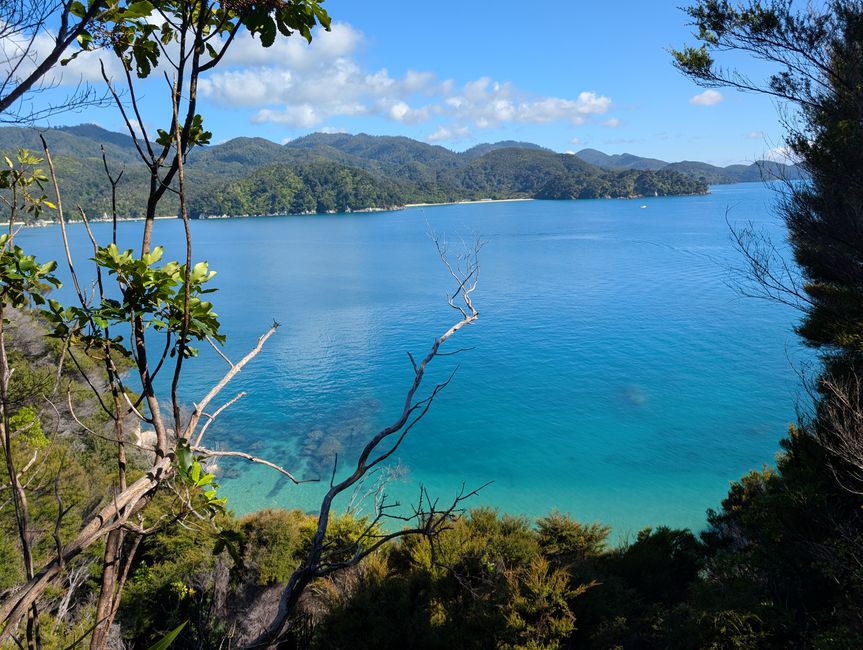 Auf ein paar Worte in Abel 
Tasman