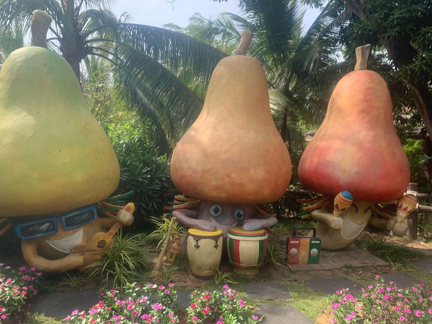Tag 14 Phu Quoc: CHÚC MỪNG NĂM MỚI - HAPPY NEW YEAR