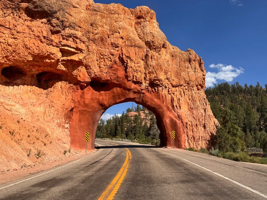 Red Canyon Arch