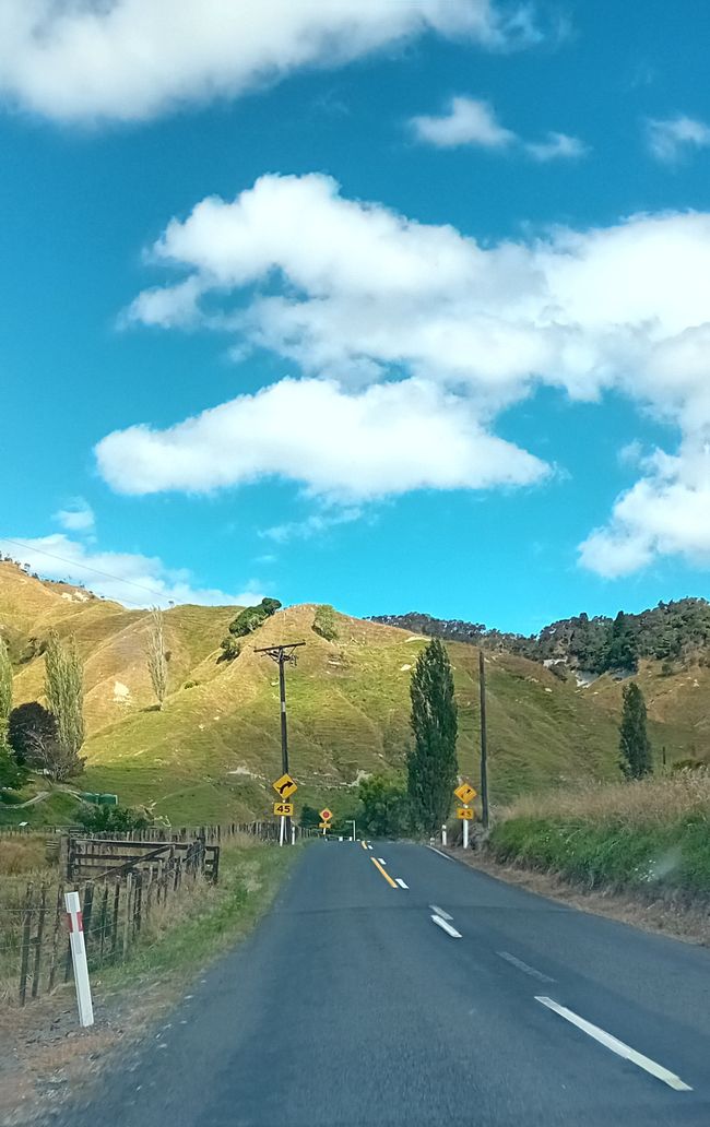 Autoroute du Monde Oublié / République de Whangamomona