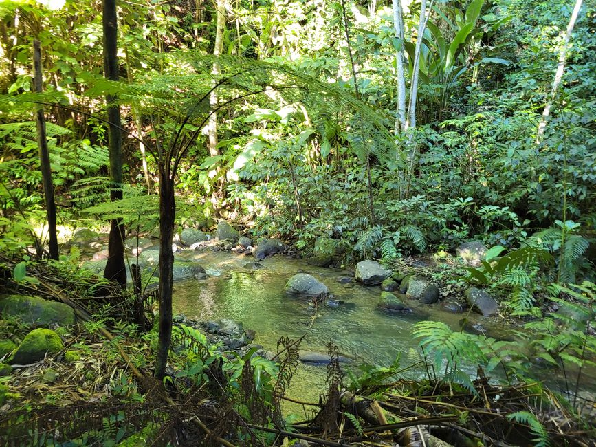 Weg zum Wasserfall 