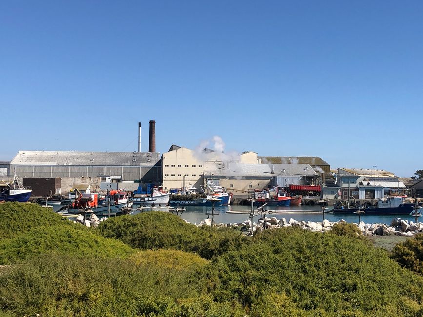 Die Fischindustrie in Lambert´s Bay