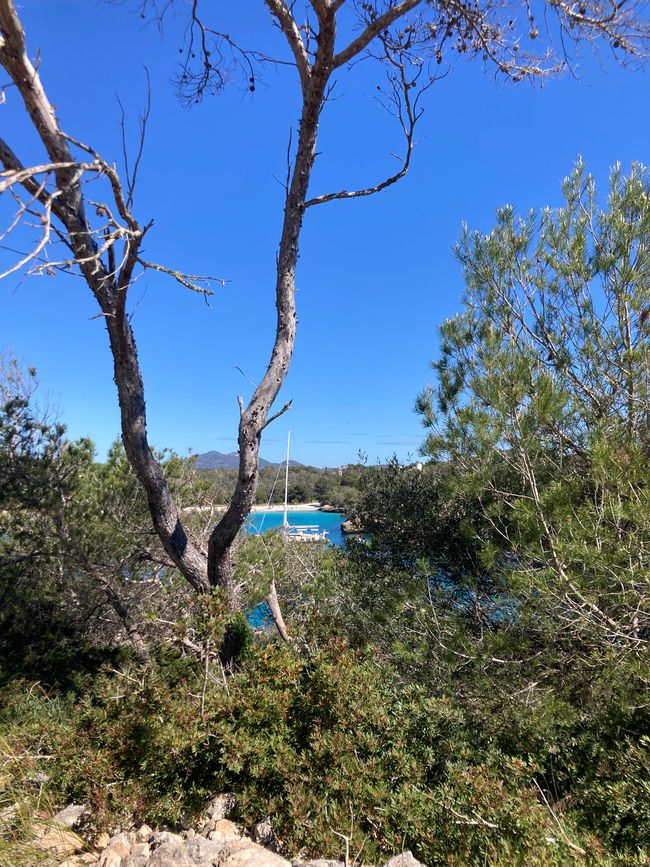 Cala Mondrago-es wird angebadet