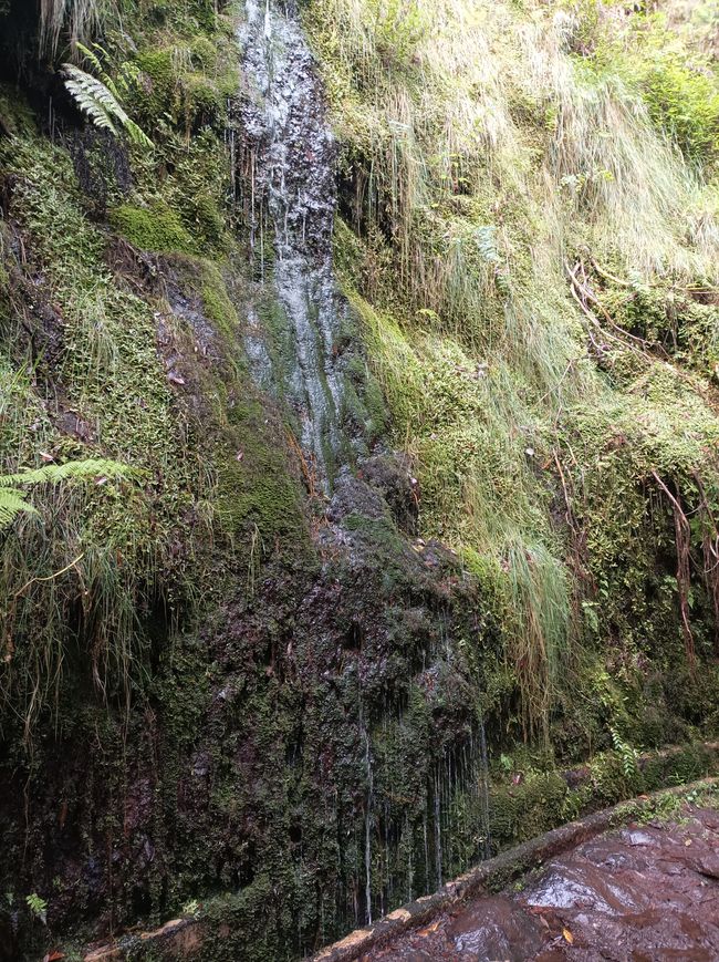 Excursión por la Levada y pueblo de pescadores