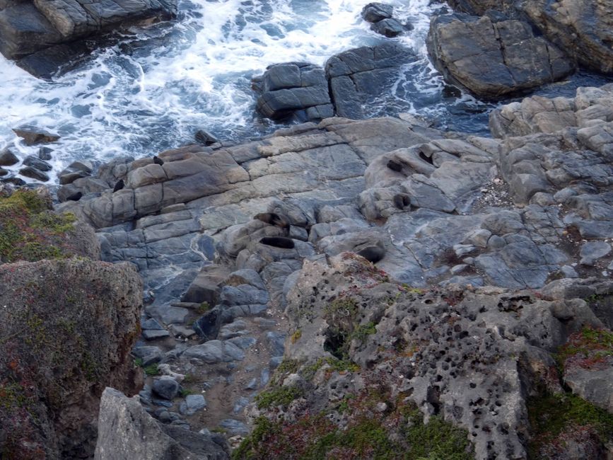 Kangaroo Island