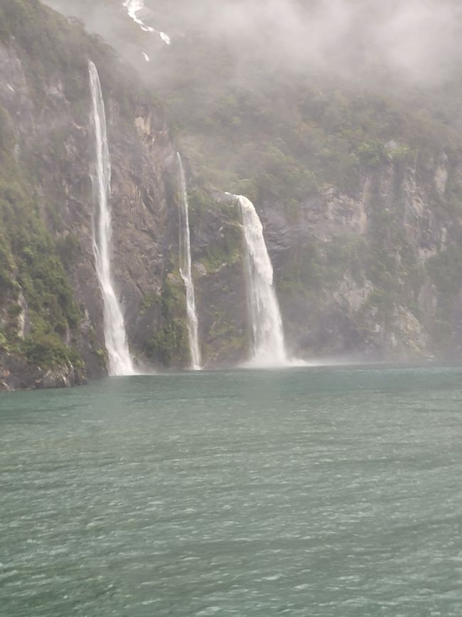 Tag 87 von 175: Kreuzfahrt rund um die Welt - Kreuzen im Milford Sound/Neuseeland