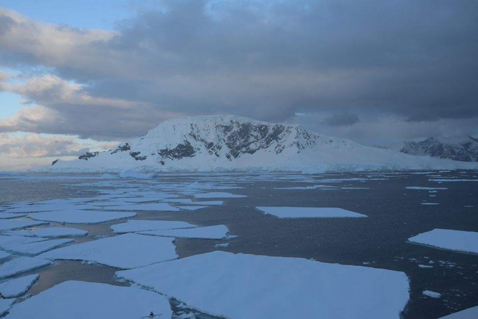 Packeis / Sea ice
