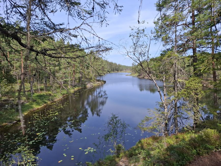 Halden – Tresticklans NP – Halden